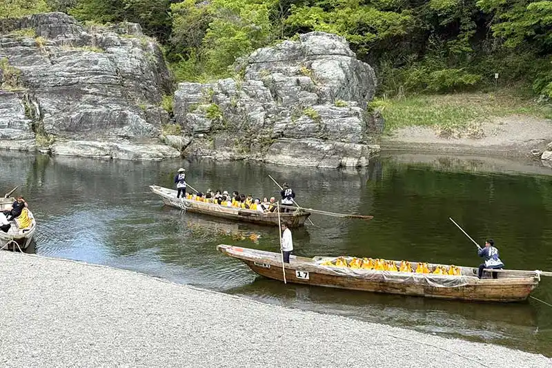 【レポート2025#1】 急流スポットのスリル感と四季折々の景観が楽しめる♪「長瀞ラインくだり」!!