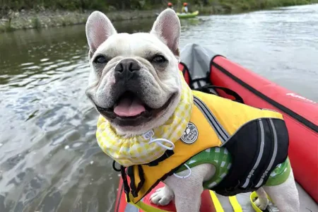 【レポート2025#3】ワンコも一緒にカヤックデビュー！「sherpa」！