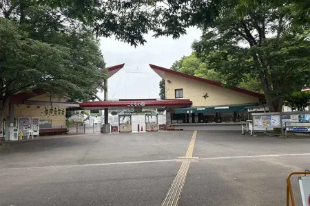 【レポート2025#7】今年で開園60周年！好奇心くすぐる冒険の森へ 「こどもの国」!!