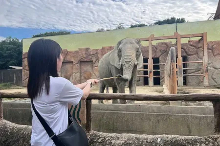 【レポート2025#17】動物たちを間近に感じる！かわいいが溢れる東武動物公園！