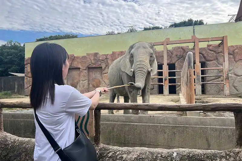 【レポート2025#17】動物たちを間近に感じる！かわいいが溢れる東武動物公園！