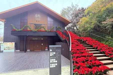 【レポート2025#20】北欧気分と絶景を満喫！「メッツァビレッジ」!!