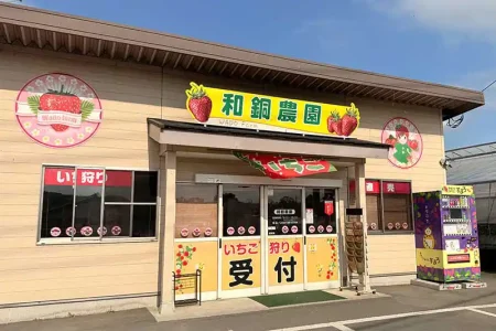 【レポート2025#30】埼玉県、幻のいちご「あまりん」のいちご狩りができる♪「和銅農園」!!