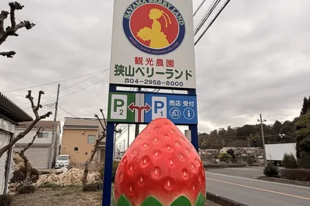【レポート2025#32】関東最大規模の敷地でいちご狩り体験！「狭山ベリーランド」!!