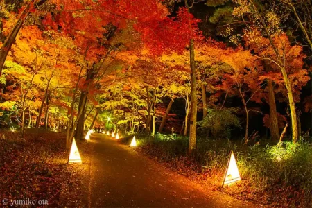 国営武蔵丘陵森林公園