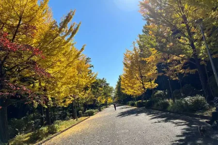 所沢航空記念公園