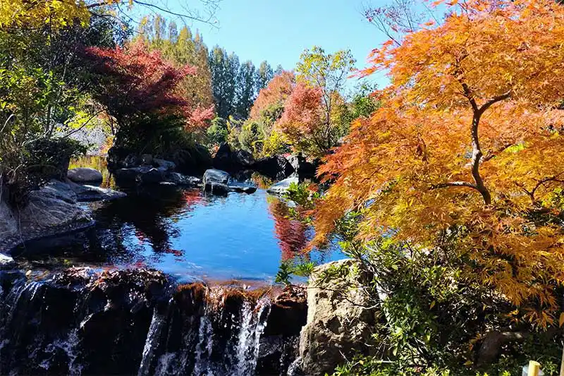 上尾丸山公園