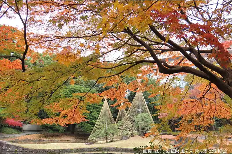 小石川後楽園