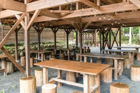 秩父定峰清流キャンプ場日帰りBBQ