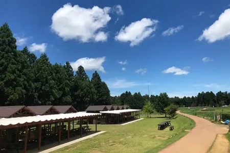 農園リゾート THE FARM