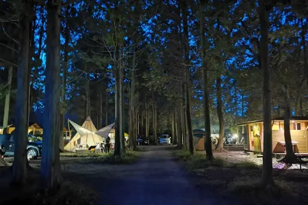 フォンテーヌの森CAMP&BBQ1992