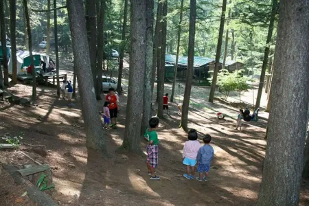 大自然に抱かれたキャンプ場 ウッドペッカー