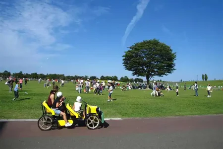 国営越後丘陵公園　BBQ広場