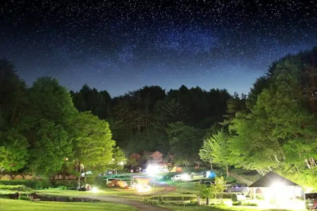 星の降る森