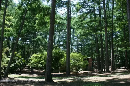 大自然に抱かれたキャンプ場ウッドペッカー