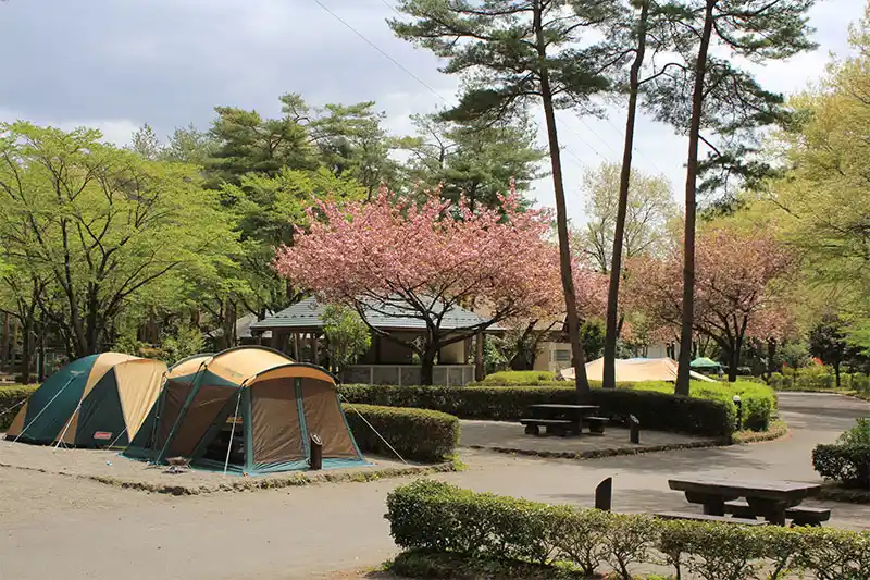 那須野が原公園 オートキャンプ場