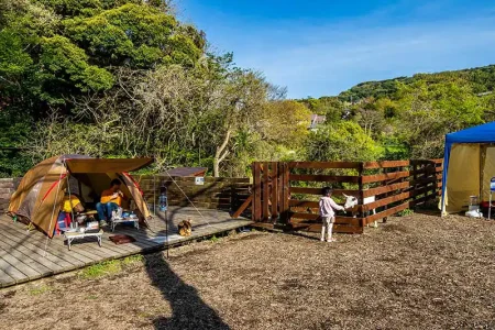 スターフォレストキャンプ葉山