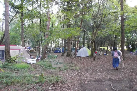 豊里ゆかりの森キャンプ場