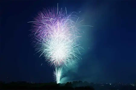 朝霞市民まつり 彩夏祭