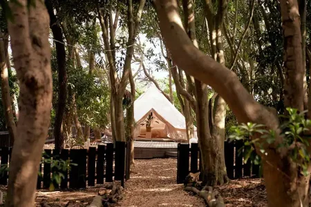 small planet CAMP & GRILL