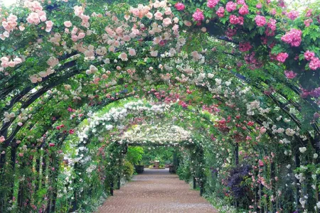 横浜イングリッシュガーデン