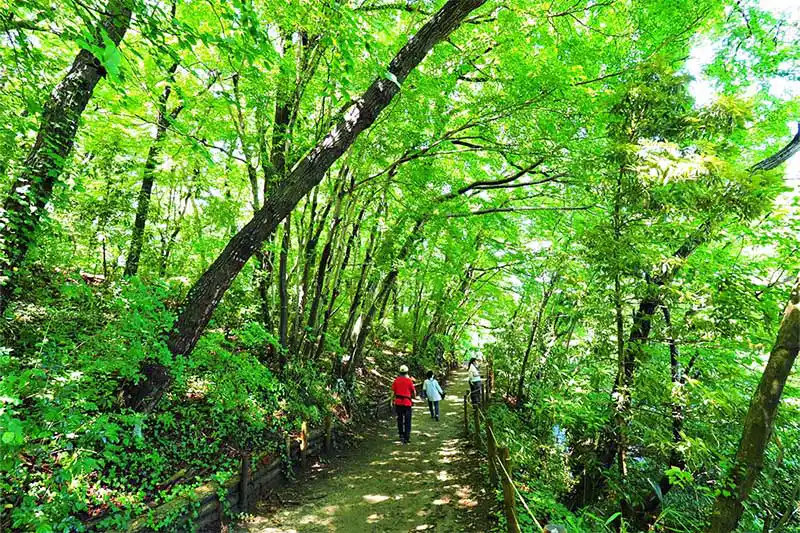 きたもと森林セラピー