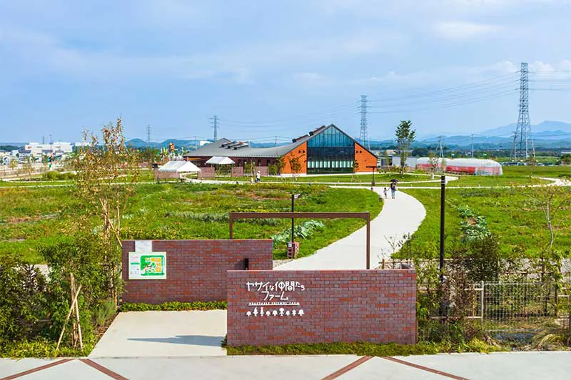 深谷テラス ヤサイな仲間たちファーム