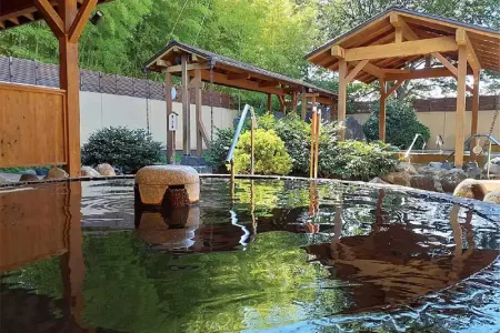 さいたま清河寺温泉