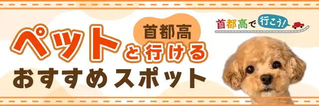 首都高ペットと行けるおすすめスポット