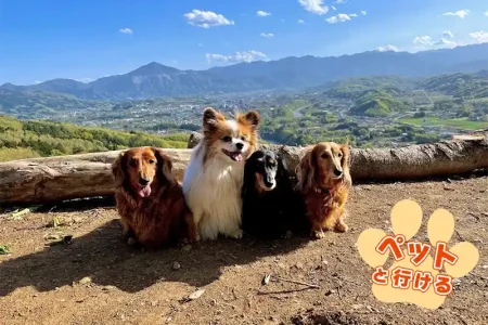 首都高で行く！ペットと行けるおすすめスポット#埼玉県/秩父・長瀞編