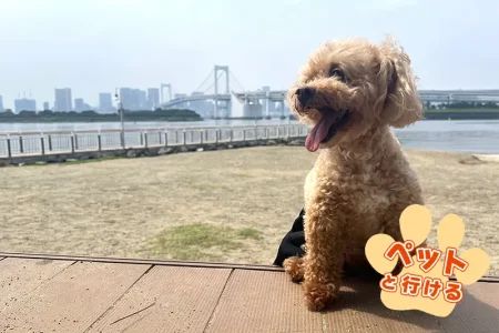 首都高で行く！ペットと行けるおすすめスポット#東京都/台場編