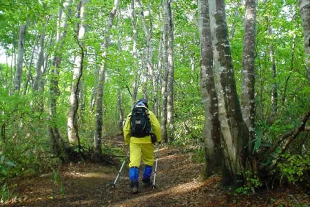 キューピットバレイ キャンプサイト