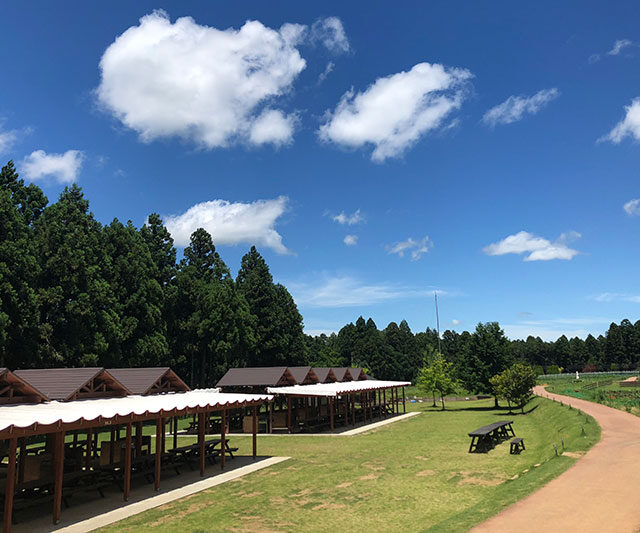 国営ひたち海浜公園 Nack5 Pscc パーフェクトサマーキャンプキャンペーン