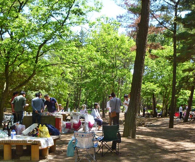 新木場公園 バーベキュー広場 Nack5 Pscc パーフェクトサマーキャンプキャンペーン