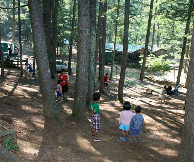 国営ひたち海浜公園 Nack5 Pscc パーフェクトサマーキャンプキャンペーン