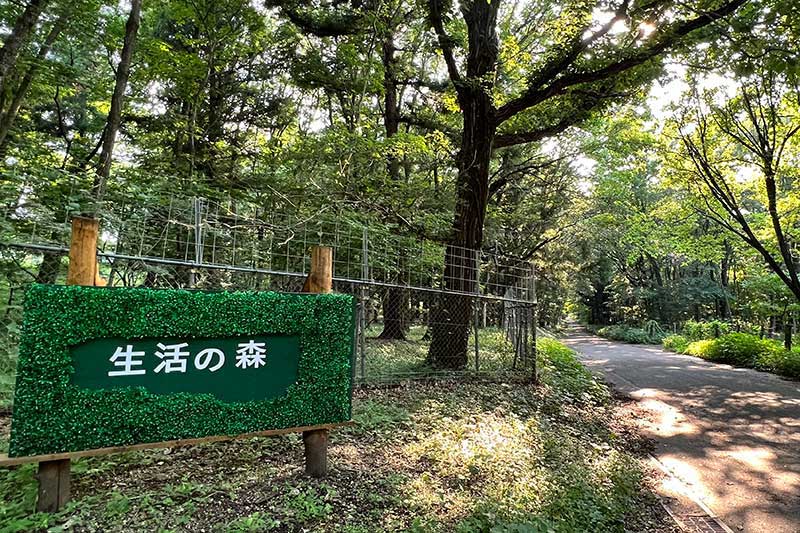 赤城自然園 生活の森【森 de CAMP】