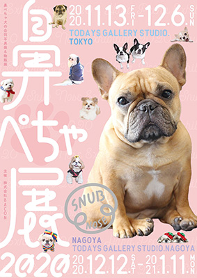 見ているだけで可愛い「鼻ぺちゃ展」!!