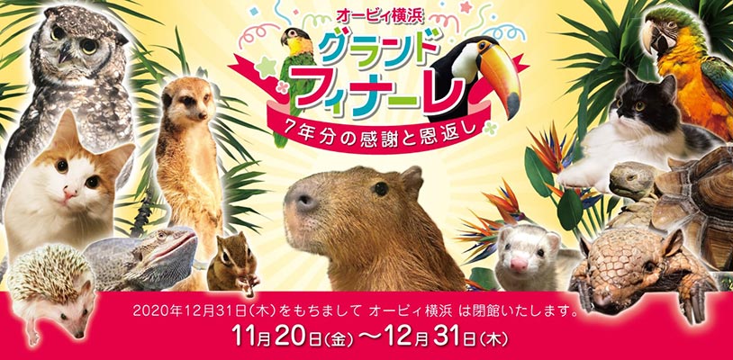 7年ぶんの感謝を込めて!人気コンテンツ再び!!