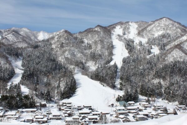 村上市 ぶどうスキー場