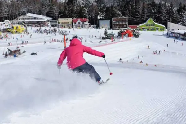 かたしな高原スキー場