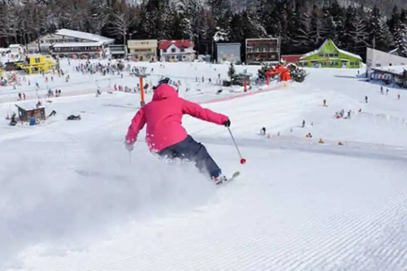 かたしな高原スキー場