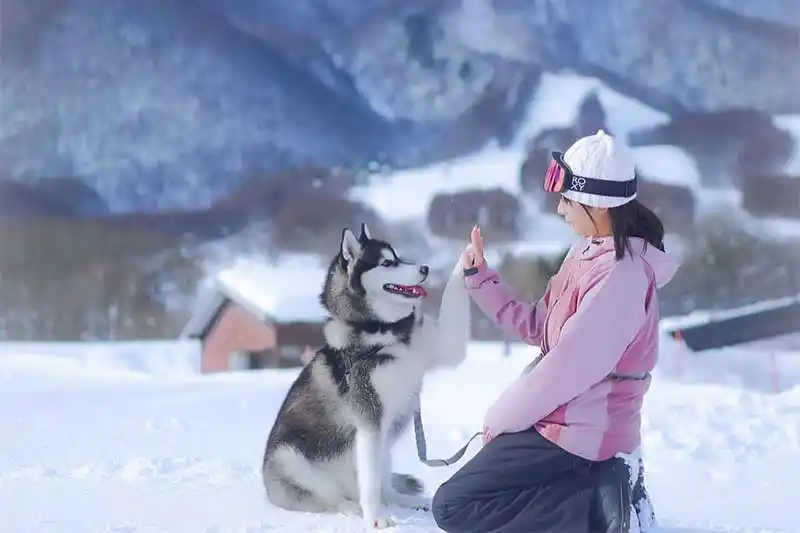 黒姫高原スノーパーク