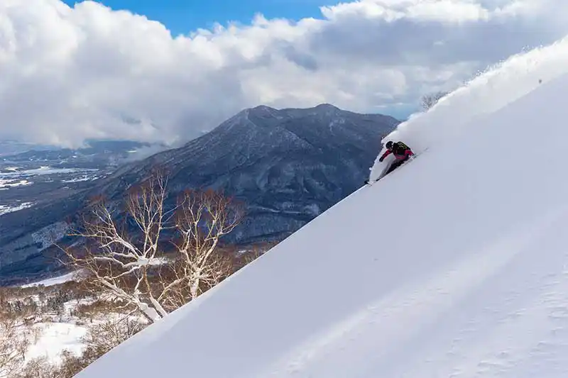 妙高杉ノ原スキー場