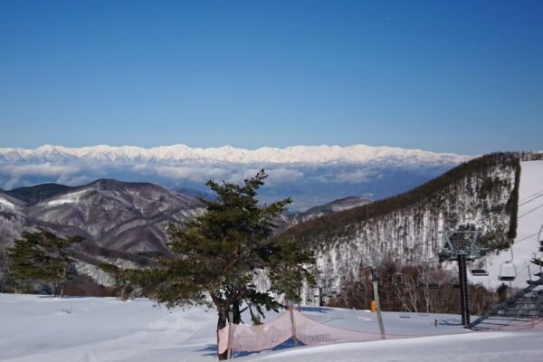 REWILD NINJA SNOW HIGHLAND