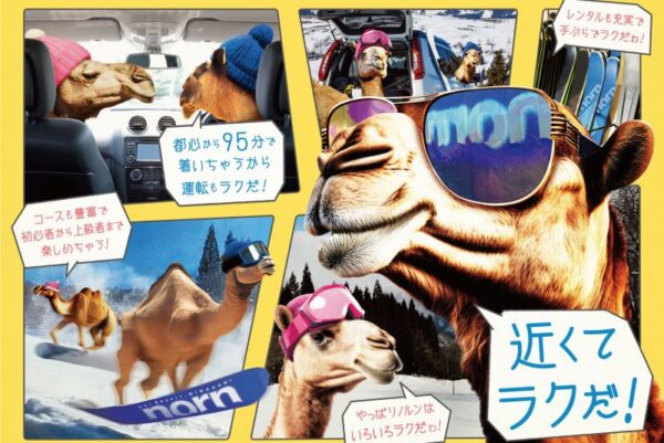 ノルンみなかみスキー場