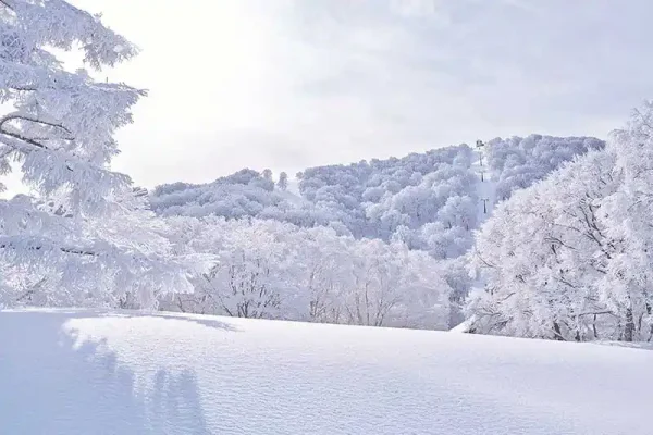 野沢温泉スキー場