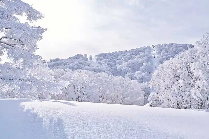 野沢温泉スキー場