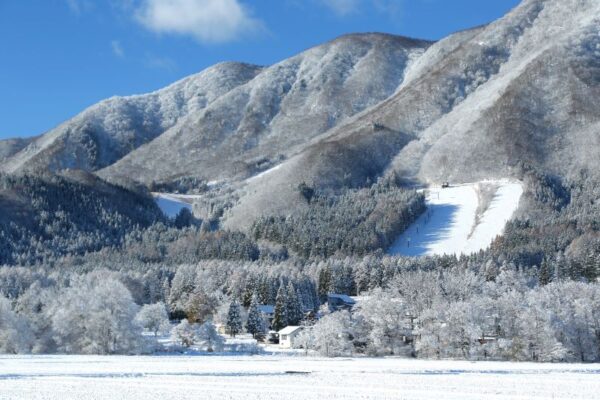 White Resort白馬さのさか