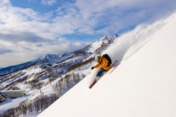 アライマウンテンリゾート
