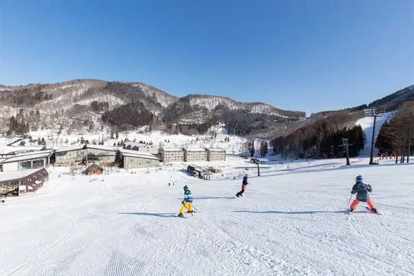 タングラムスキーサーカス